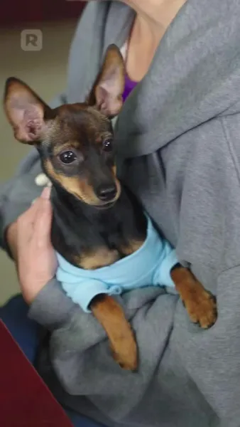 ความรักในเถ้าถ่าน