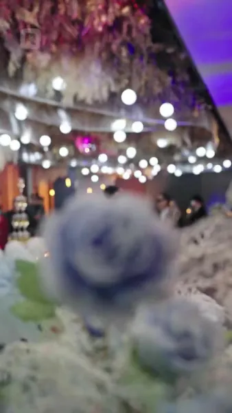 ความรักในเถ้าถ่าน