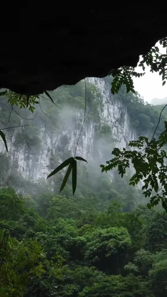 ตระกูลแกร่งที่สุด