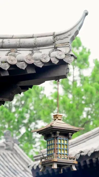 ลมเหนือพัดวาสนาใหม่