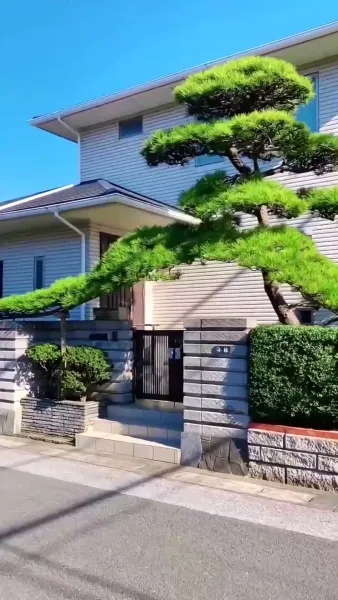 ดวงดาวที่ร่วงโรย