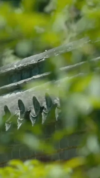 หัวหน้าค่ายภูเขาได้ผัวท่านอ๋อง