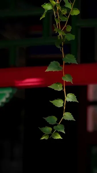 เคยถูกทิ้ง แต่วันนี้ครองบัลลังก์(พากย์เสียง)