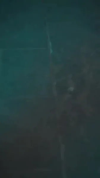 มรดกเลือดกับคำสาป