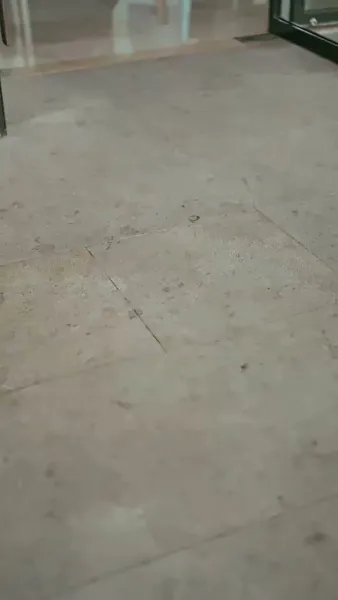 หัวใจที่เย็บด้วยรัก(พากย์ไทย)