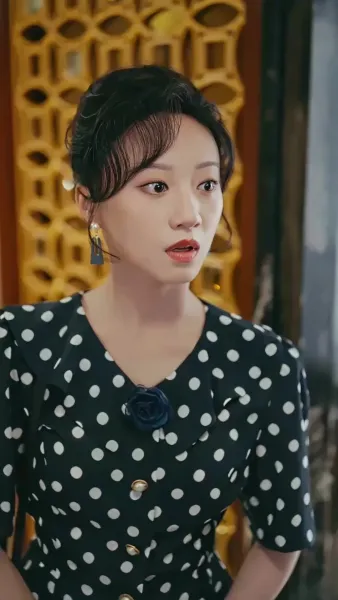 หัวใจที่เย็บด้วยรัก(พากย์ไทย)