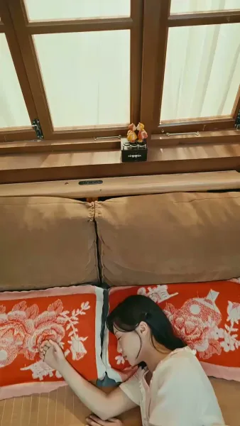 หัวใจที่เย็บด้วยรัก(พากย์ไทย)