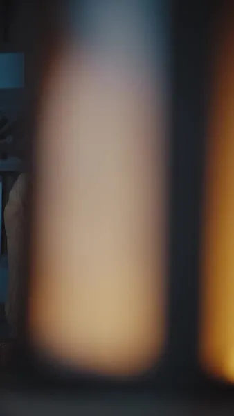 การกลับบ้านของพระราชา