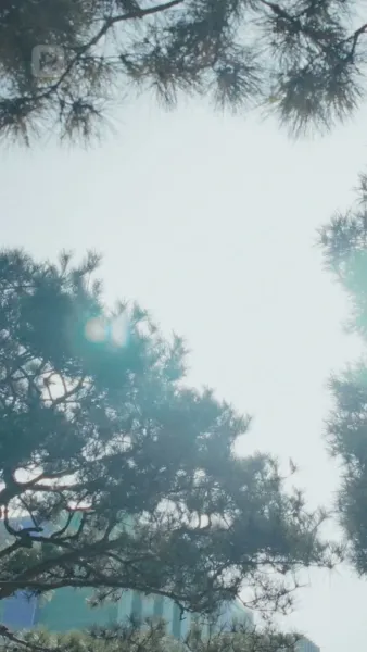 เธอที่เพียงฉันเดียวที่มองเห็น