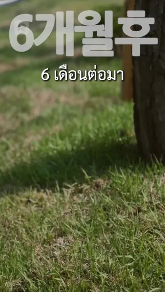 เธอที่เพียงฉันเดียวที่มองเห็น