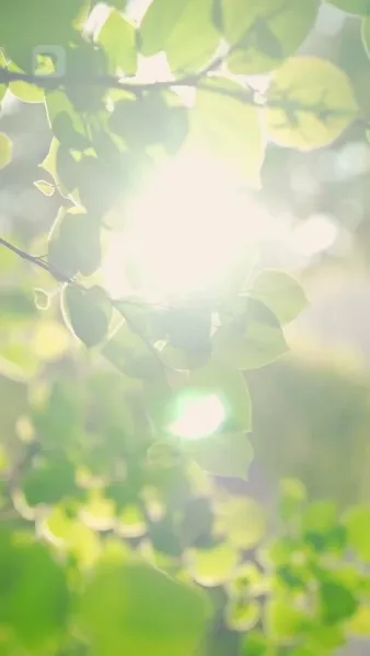 ด้านมืดของสาวดี