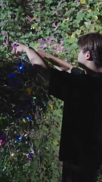 สองชีวิตในวิทยาลัยยอดฝีมือ