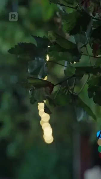 สองชีวิตในวิทยาลัยยอดฝีมือ