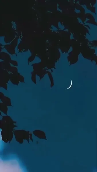 （พากย์ไทย）พันธนาการรักแห่งแสงจันทร์