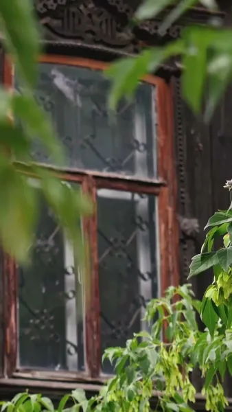 （พากย์ไทย）พันธนาการรักแห่งแสงจันทร์