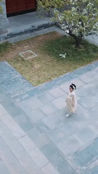 เบบี้ปลาคาร์ฟแห่งเกียวโตใต้จันทร์