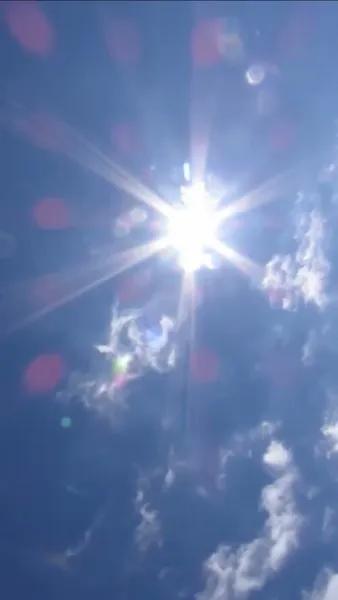 มะลิแรกแย้ม ในฤดูที่รอคอย