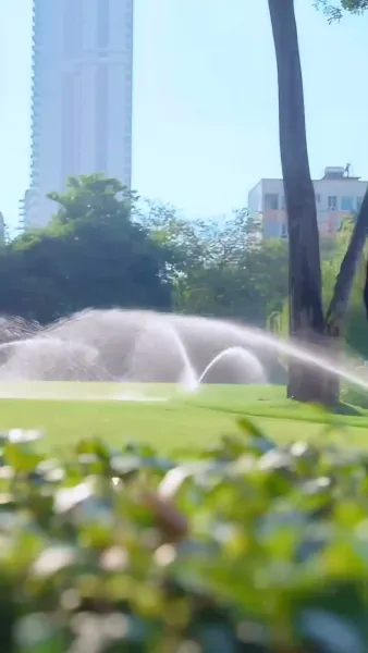 เดิมพันหัวใจ