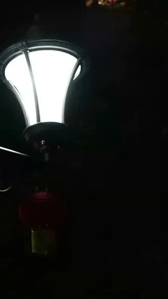 เดิมพันหัวใจ