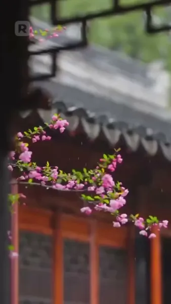 หลังแต่งงาน บ้านนี้ฉันเป็นใหญ่