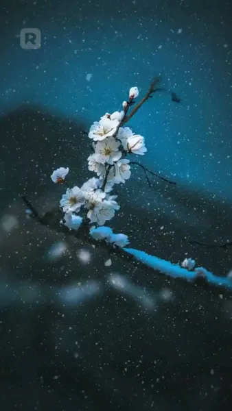 หลังแต่งงาน บ้านนี้ฉันเป็นใหญ่