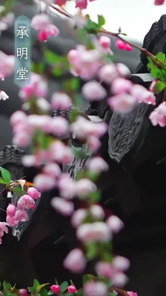 หลังแต่งงาน บ้านนี้ฉันเป็นใหญ่