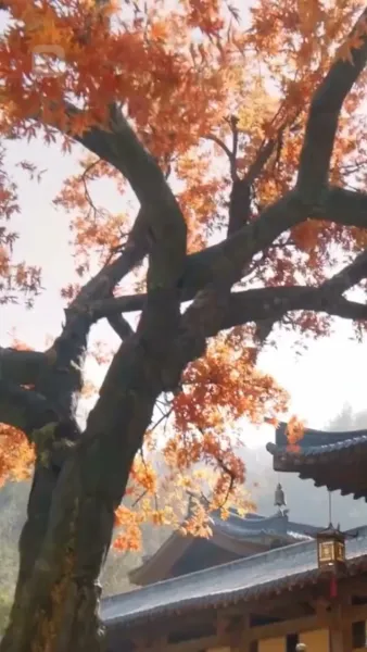 หลังแต่งงาน บ้านนี้ฉันเป็นใหญ่