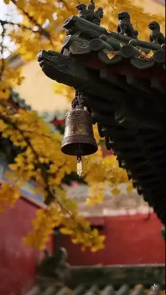 หลังแต่งงาน บ้านนี้ฉันเป็นใหญ่