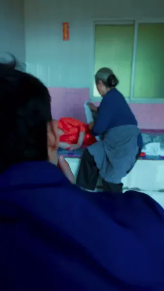 หลุมศพ พังพอนสีเหลือง