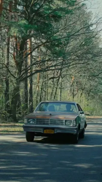 สองรักตามล่า: แวมไพร์และนักล่า