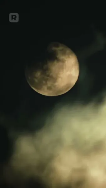 สองรักตามล่า: แวมไพร์และนักล่า