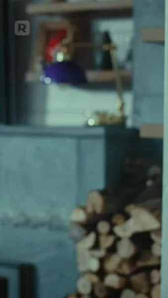 สองรักตามล่า: แวมไพร์และนักล่า