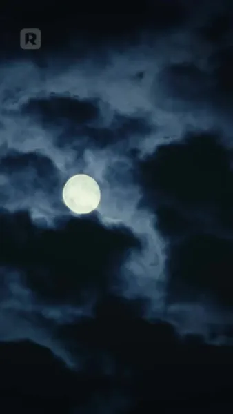 สองรักตามล่า: แวมไพร์และนักล่า