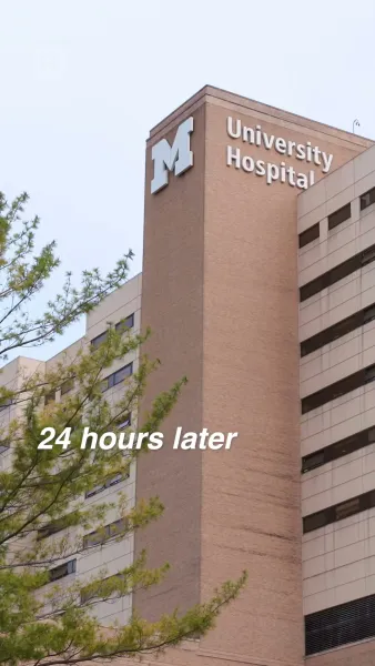 ใต้ปีกราชามาเฟีย