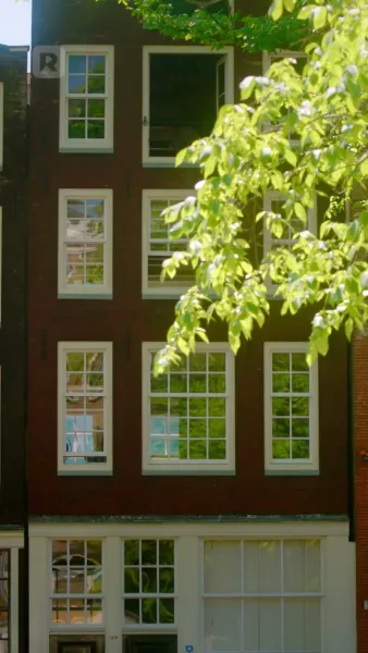 ใต้ปีกราชามาเฟีย