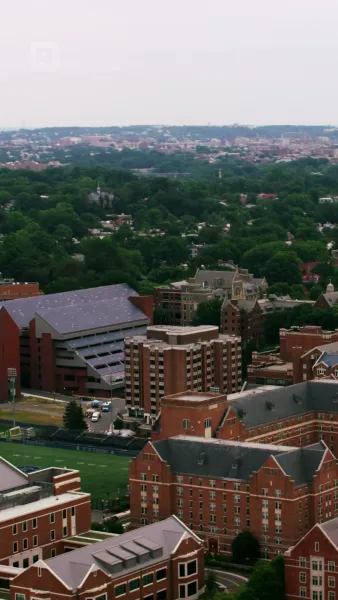 ใต้ปีกราชามาเฟีย