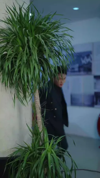 รักลับหลังทะเบียนสมรส