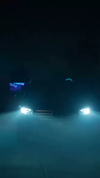 คู่ชีวิตที่ไม่ต้องการ