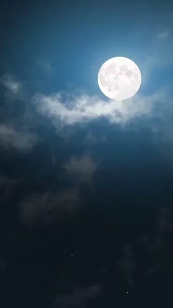 เจ้าตัวน้อย ละลายหัวใจเย็นชา