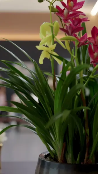 รักที่เก็บไว้ในส่วนลึกของหัวใจ