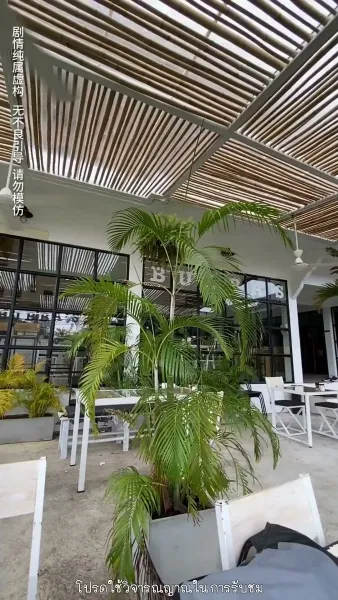 แฝดสามจอมป่วนหัวใจอลเวง