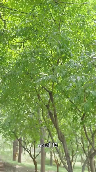 เด็กฝึกงานคนนี้ไม่ธรรมดา