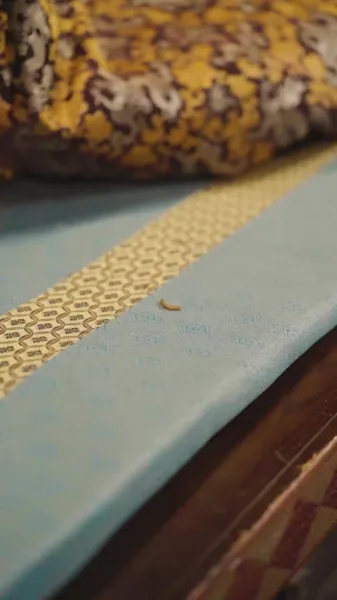 พระสวามีจำเป็น