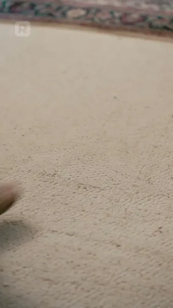 สิ่งล่อใจร้ายแรง: ระหว่างสองอัลฟ่า