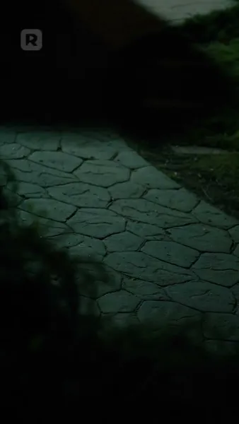 สิ่งล่อใจร้ายแรง: ระหว่างสองอัลฟ่า