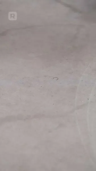 อดีตสามีตามใจจนเสียนิสัย