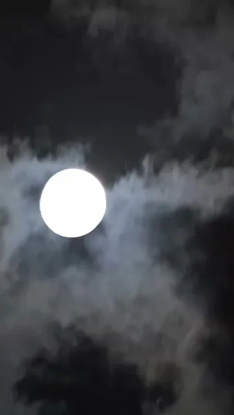 [พากย์ไทย] รักร้ายหัวใจมาเฟีย