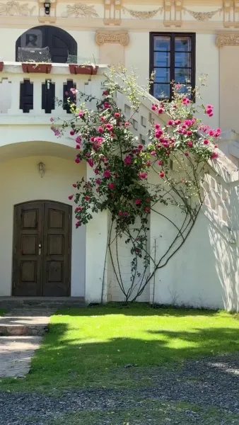 รักเต็มสปีด