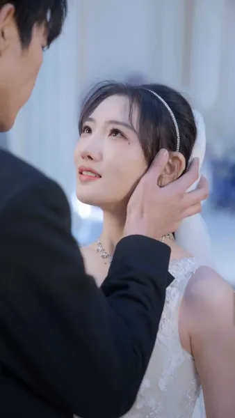 แผนรักเหนือวิวาห์