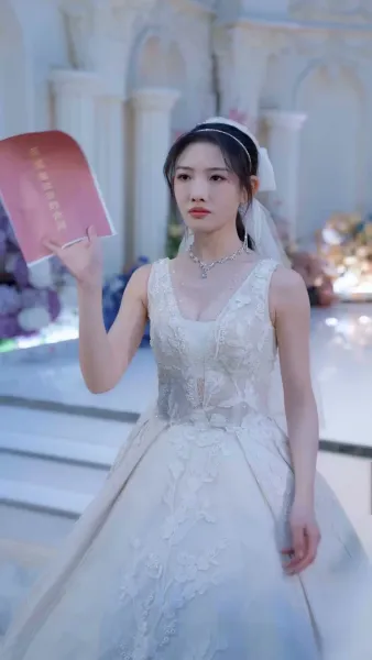 แผนรักเหนือวิวาห์